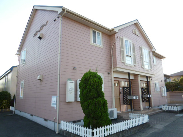 エバーグリーン