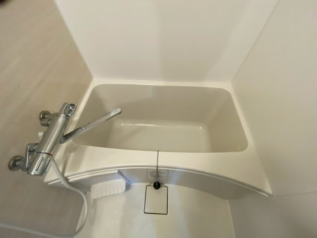 ディアコート雅の浴室