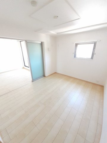 キーウィのその他