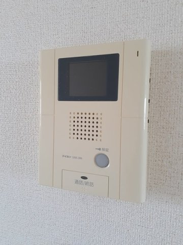 キーウィのセキュリティ