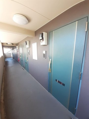 キーウィのその他