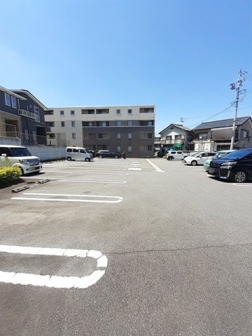 キーウィの駐車場