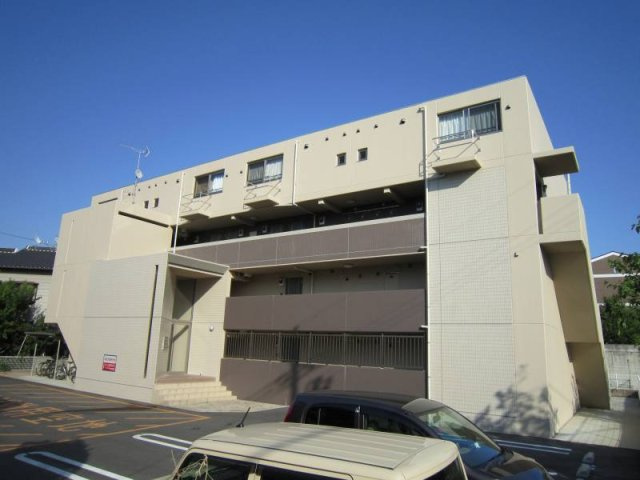 キーウィの外観