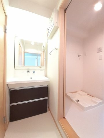 キーウィの洗面所