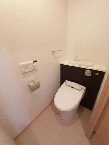 キーウィのトイレ