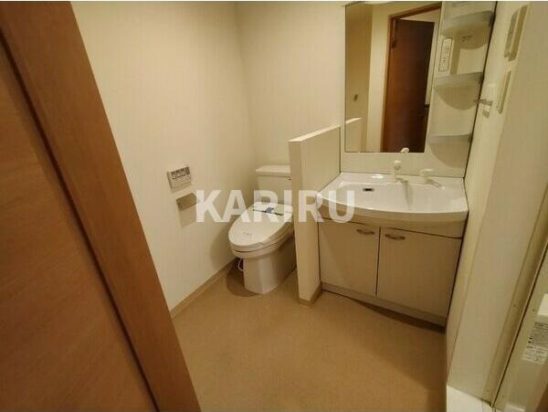 FmaisonLORE I番館の洗面所