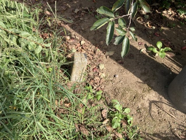 【外観】の画像