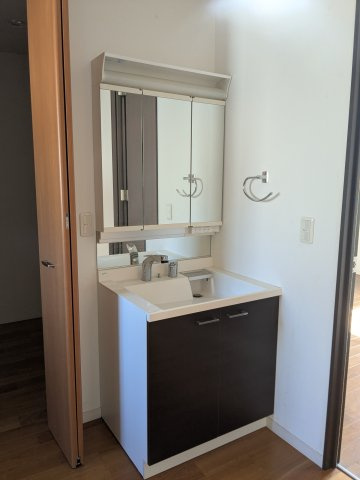 中古戸建　高崎市三ツ寺町の独立洗面台