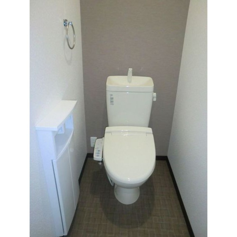 熊本市中央区八王寺町の賃貸マンションのトイレ