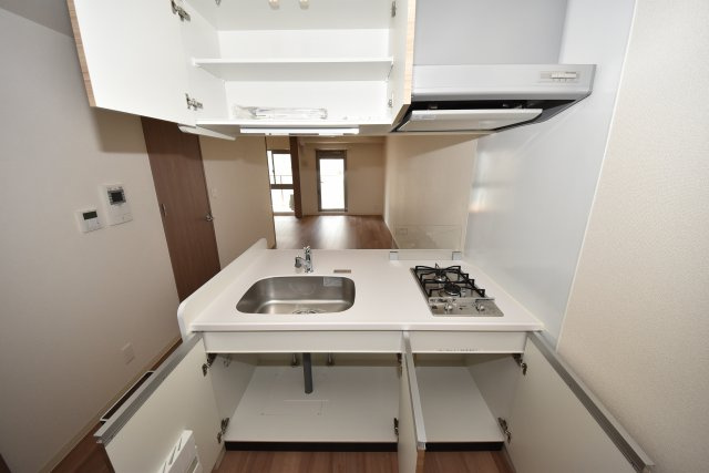 プレサンス心斎橋ニスト