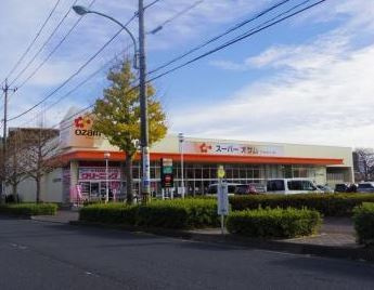 ドミールピアのその他|スーパーオザム末広店