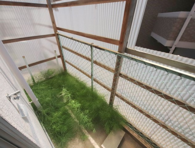 橋本マンションの庭