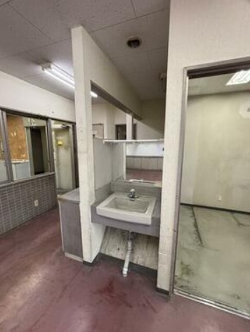 ヒルズガーデン東雪谷の洗面所