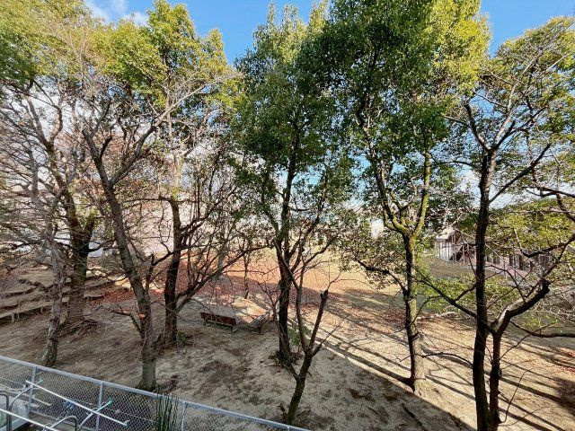 Ｃ＆Ｃローズガーデンの展望