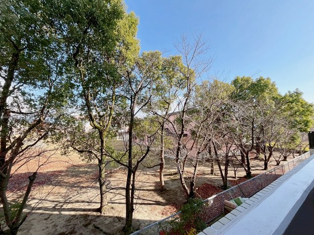 Ｃ＆Ｃローズガーデンの展望