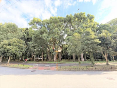 【周辺】 | 【仲介手数料が８０万円ＯＦＦ！】■１０２平米■４ＬＤＫ■長期優良認定■ＺＥＨ住宅 | 【仲介手数料８０万円ＯＦＦ！】
■砧公園まで１００米