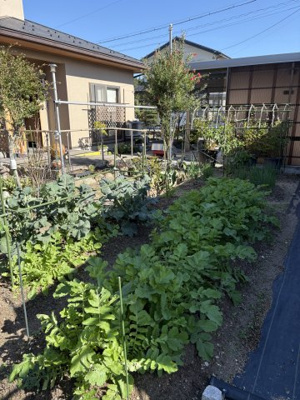 【庭】 | とみ里団地売家