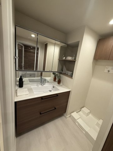 シティタワーズ豊洲ザ・ツインサウスタワー41階の洗面所