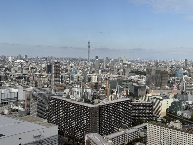 シティタワーズ豊洲ザ・ツインサウスタワー41階の展望