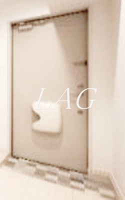 【玄関】 | アザーレ・ソラ淵野辺 | 玄関です。（同一仕様）