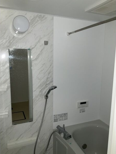 Premiere水沢(プルミエール)Ⅱの洗面所