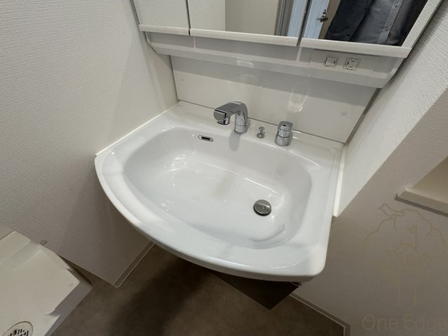 ソルテラス本庄西クレアストの洗面所