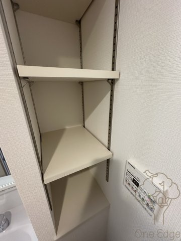 ソルテラス本庄西クレアストの収納