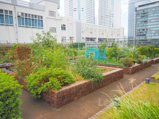 【その他共用部分】 | THE TOYOSU TOWER