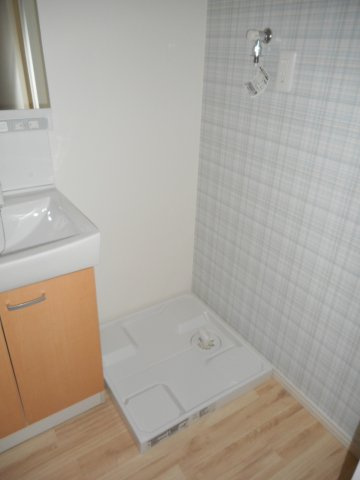 ローズガーデンのその他|洗濯機置場