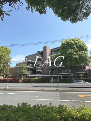 【外観】 | サンピエス江古田 | 外観です。