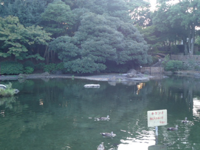 【周辺】 | リバティー戸越公園