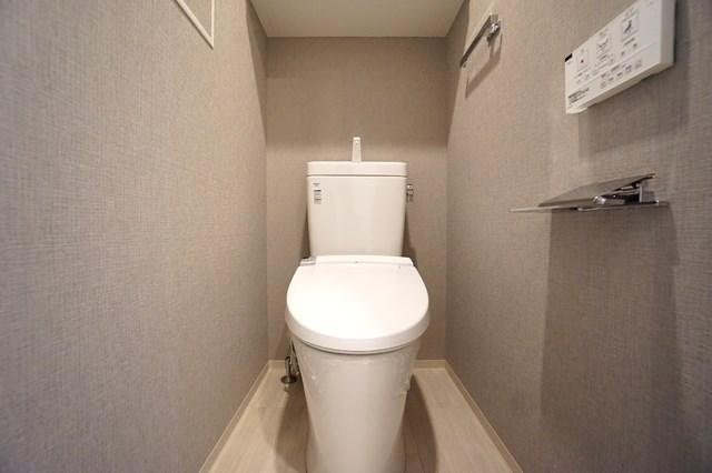 ALTERNA菊川Ⅱのトイレ