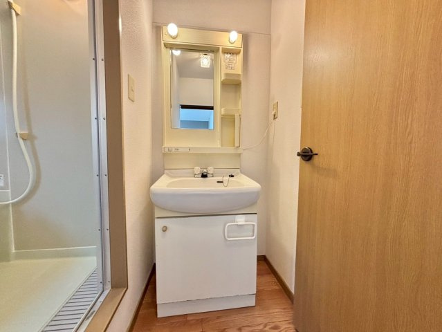 エクセル山崎の洗面所