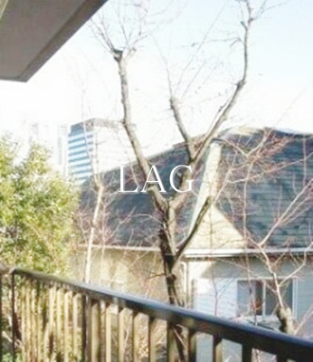 【展望】 | アリストコート茶園 | 眺望です。