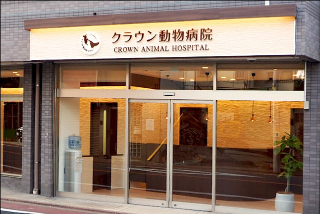 コレントハウス馬込の洋室|個室１０１号室：ベッド、マットレス、エアコン、カーテンを完備。
