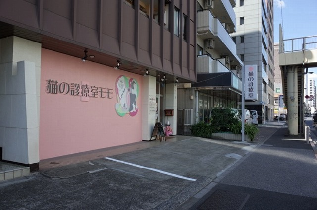 コレントハウス馬込|個室１０１号室：ベッド、マットレス、エアコン、カーテンを完備。
