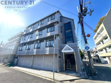 ベルカンポ曙の画像