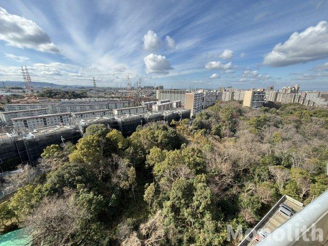 泉北鴨谷台３丁6号棟の展望