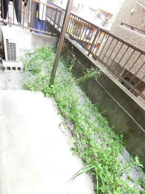 【バルコニー】 | ＮＧＳ滝頭