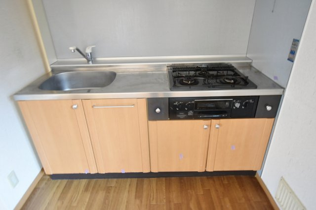 ハイツ・ツゥ・サティのキッチン|キッチン