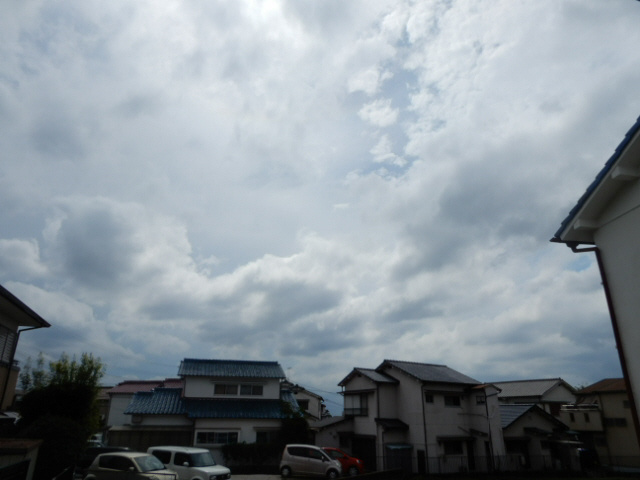 高津橋D-room　Dの展望