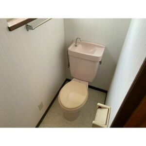 江南市木賀本郷町東の一戸建てのトイレ