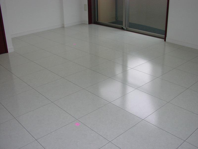 Le-lionVranche'日暮里Eastの居間・リビング