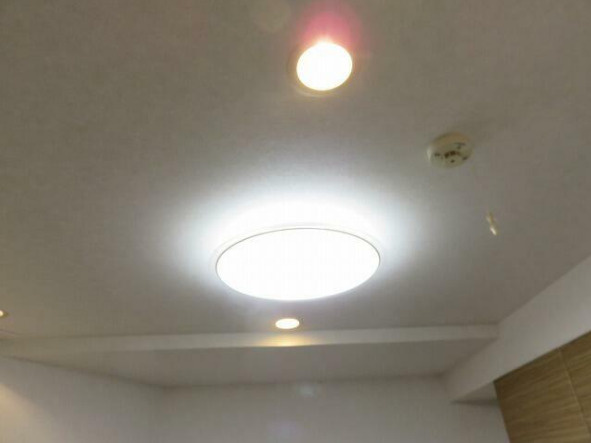 ルセーヌ二子玉川　ペット相談　デザイナーズ　リノベーション　礼金0の設備