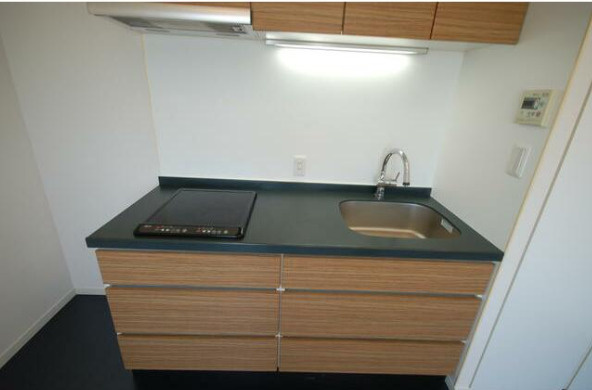 ルセーヌ二子玉川　ペット相談　デザイナーズ　リノベーション　礼金0のキッチン