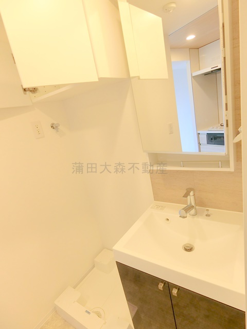 ZOOM下丸子の洗面所