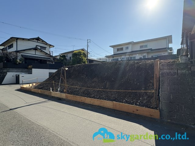山採り　ヤマモミジ　特大　4トン車入れない場所は不可 ?media_id=3857080007159564003