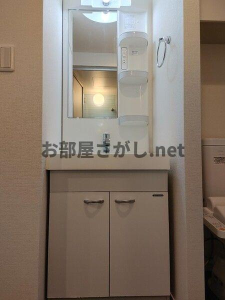 グランデ目白御留山【新宿区×目白／11月中旬空き予定】の洗面所