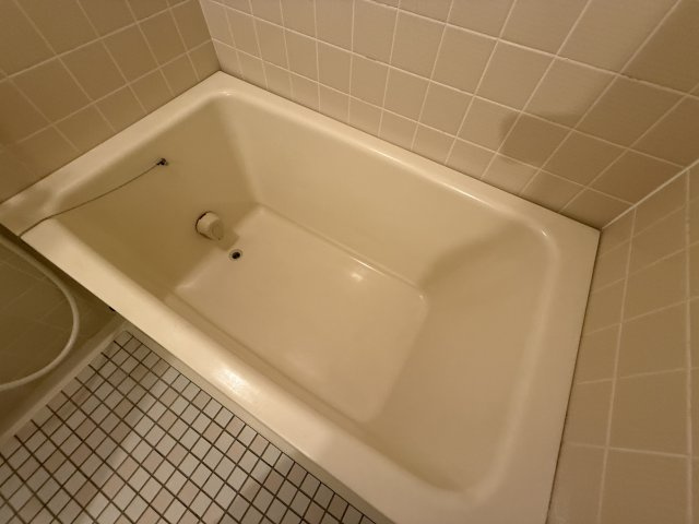 セレコート箕面の浴室