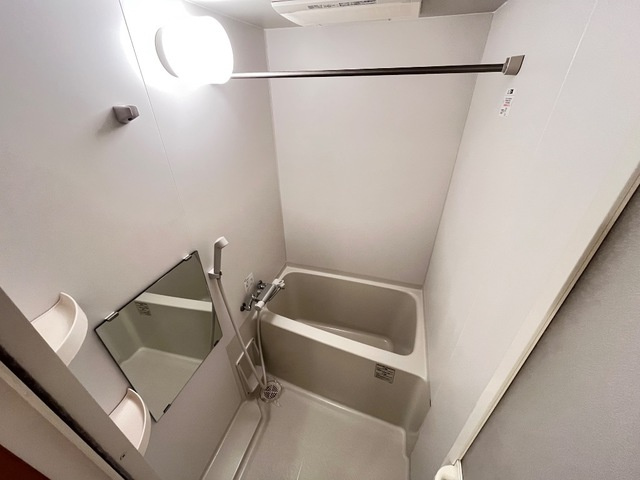 ファレノプシスの浴室|※同タイプの部屋写真です
